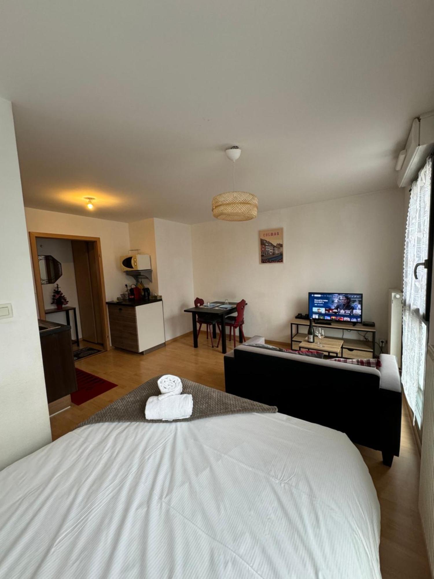 Apartmán Le "Petit Colmarien" A 1Mn Du Centre Exteriér fotografie