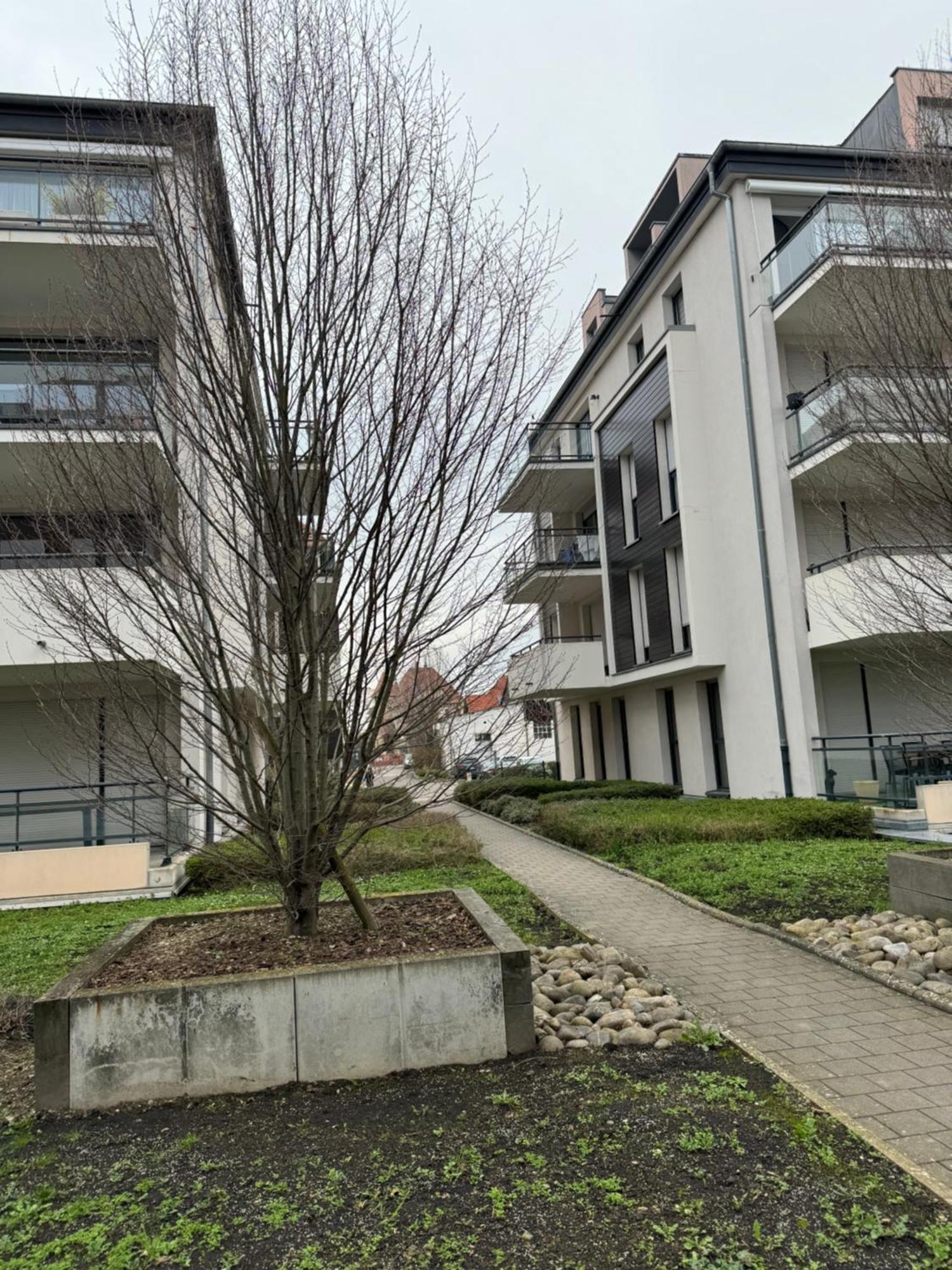 Apartmán Le "Petit Colmarien" A 1Mn Du Centre Exteriér fotografie